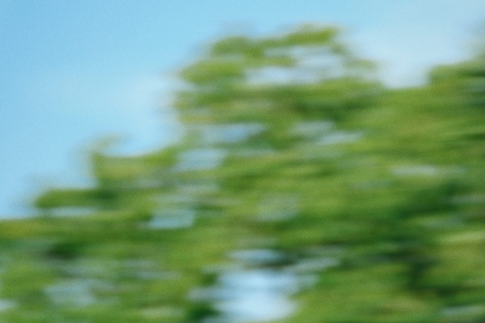 From passion to creative business